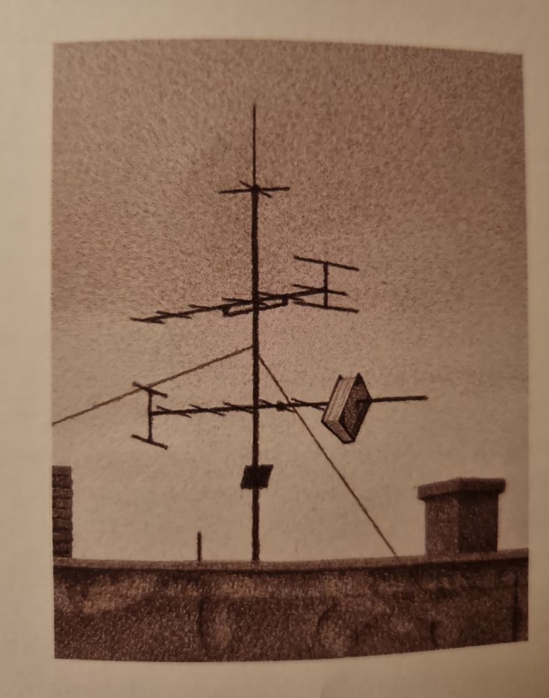 Auf einem Flachdach ist an einer Fernsehantenne ein Buch aufgespießt. Rechts ist ein Schornstein zu sehen. Das Bild ist in einer Art Sepiaton gehalten und ist eine Zeichnung von Quint Buchholz aus dem Buch In meine Bücher lege ich mein Herz. 
