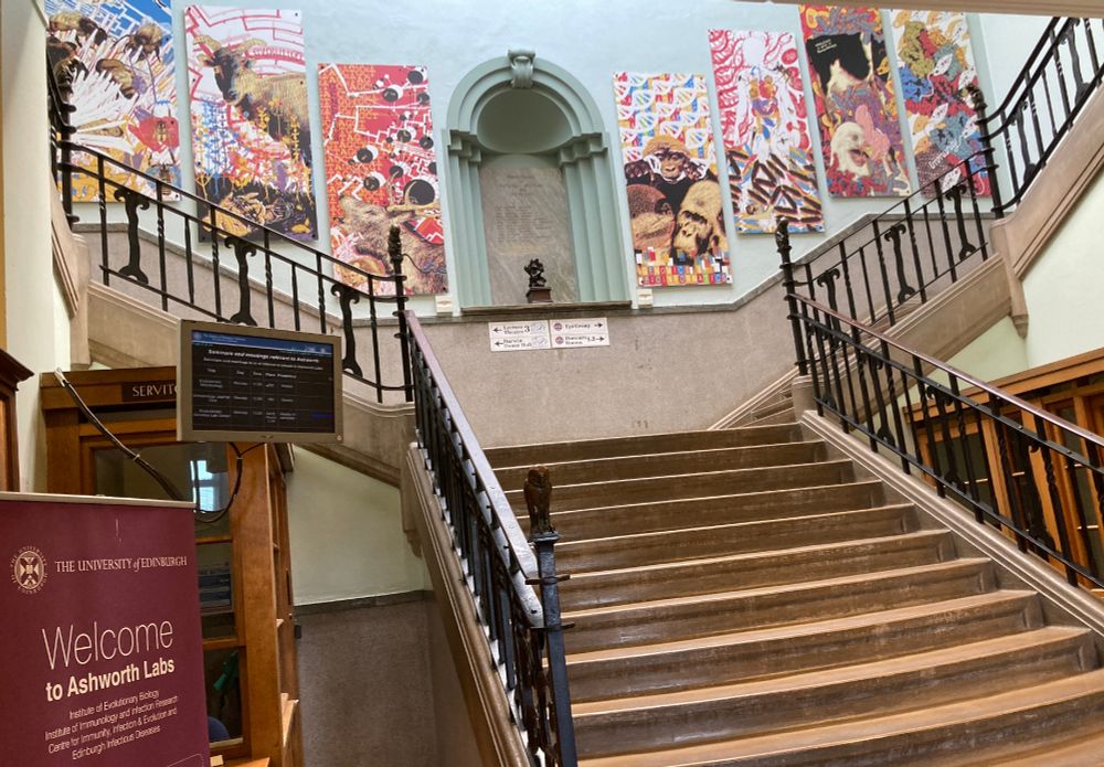 We're based in the Ashworth Laboratories, King's Buildings, University of Edinburgh. Photo shows the main staircase in the entrance to the Ashworth, stone steps from the 1920s, decorated with a series of bright, colurful banners depicting the science that's tackled in the building. 