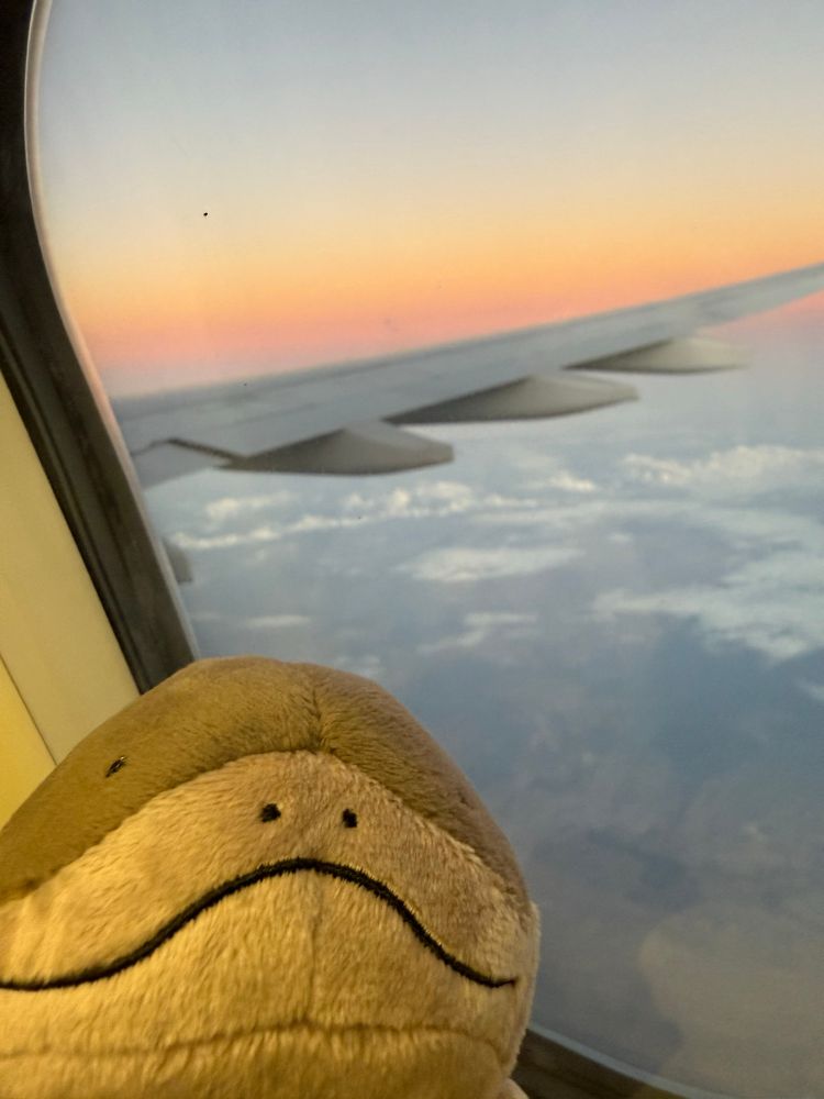 飛行機の中から撮った朝焼けの画像