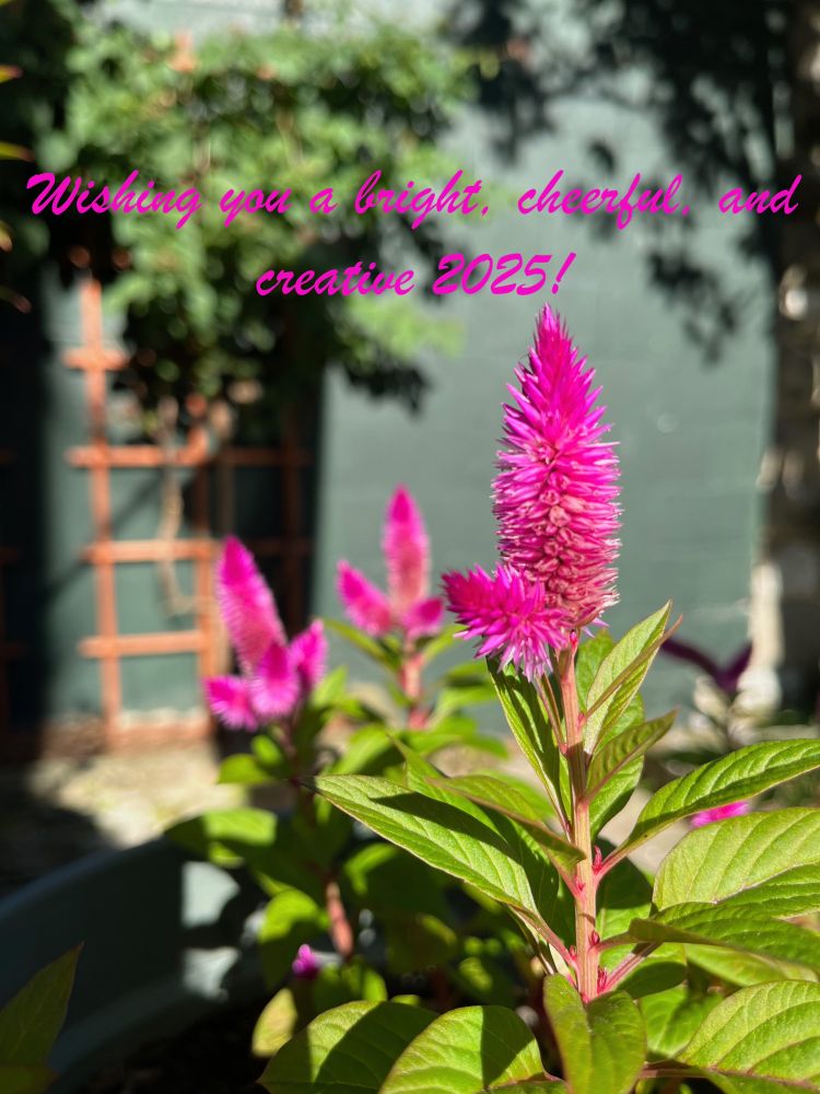 2025 New Year holiday card showing bright pink flowers in a garden.