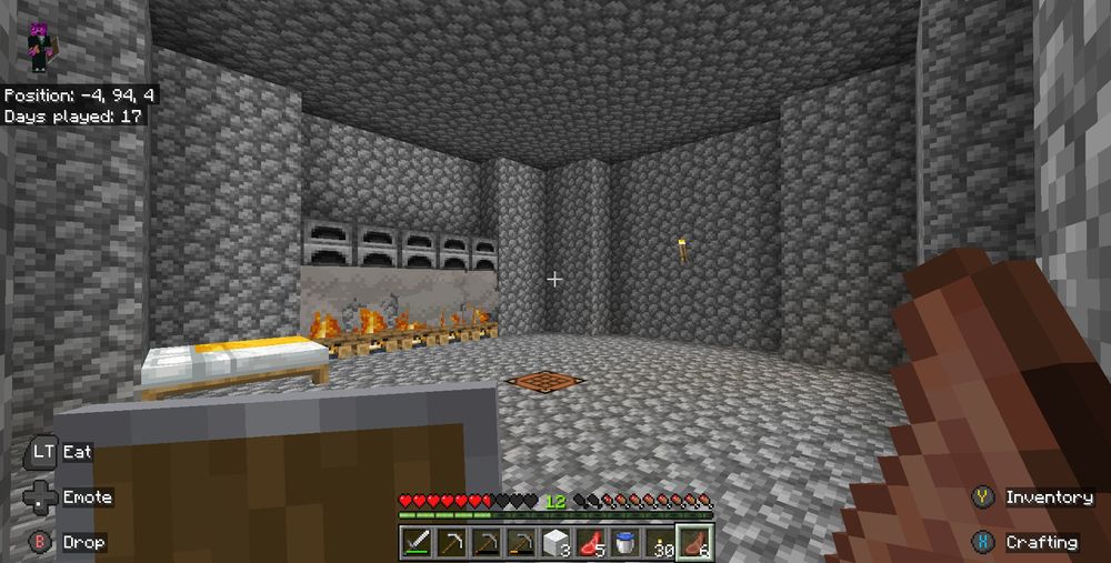 the main room with quote's and my bed as well as five campfires and five furnaces