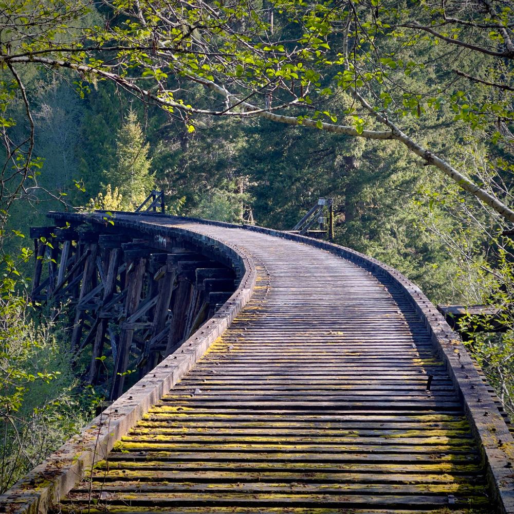 A photo of an abandoned rail road trestle in the Pacific Northwest forest.