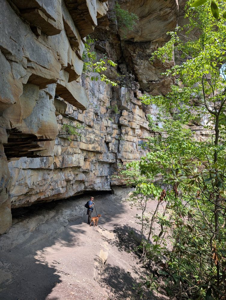 man with a vizsla on a trail at the base of a wall of rock.