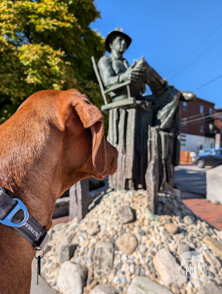 Vizsla dog Yonder next to a bronze sculpture of a man seated in a film director's chair.