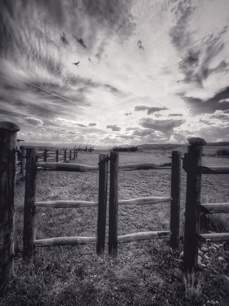 Fenced field with gate, looking west from the McDougall Memorial United Church. Swallow against a clouded sky.