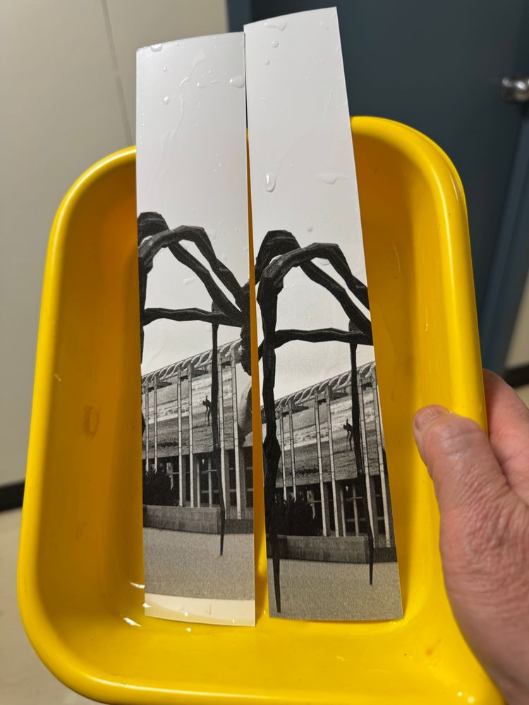 Two test strips in the tray; slightly different exposure times. 