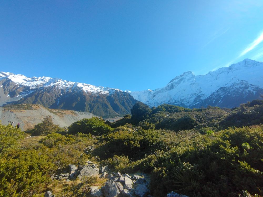 Mount Sefton and the moraine from the now retreated Mueller glacier. Alpine bush in foreground. A near cloudless sky.