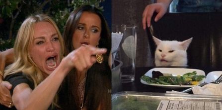 The meme where a woman is yelling at a cat.