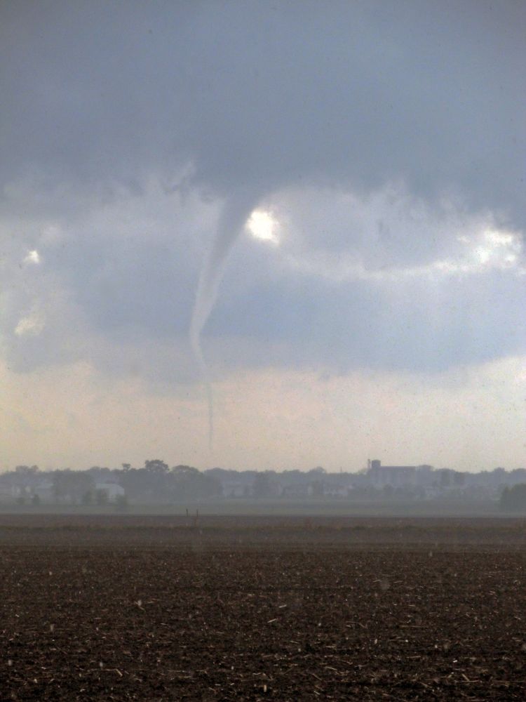 Elephant trunk tornado 