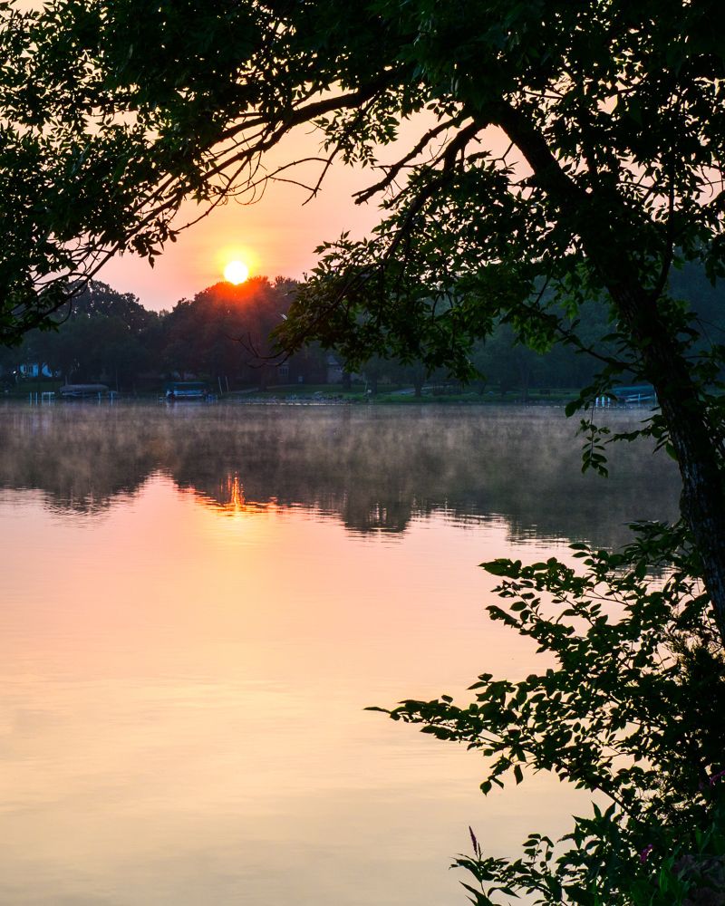 Rising sun over a lake framed by a tree.
