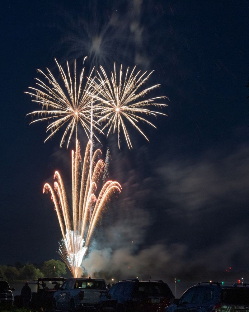 Flowers created by fireworks in oranges and yellows.