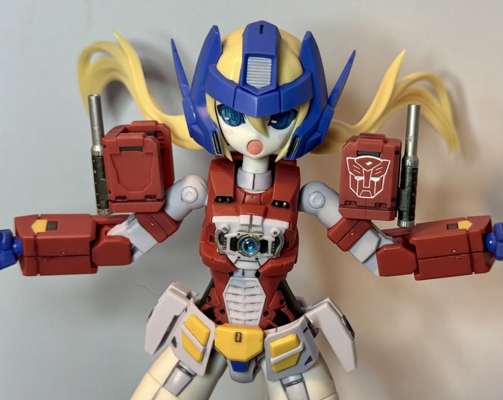 Slightly scaled back view of the upper body