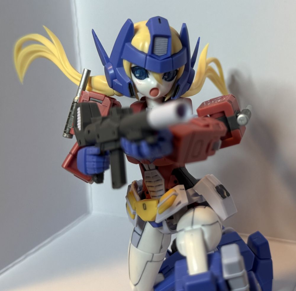 Rifle facing head on
