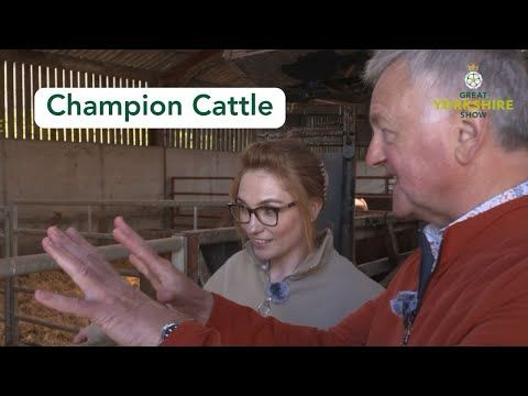 Great Yorkshire Show Stories - Jennifer Hyslop - Cattle Exhibitor