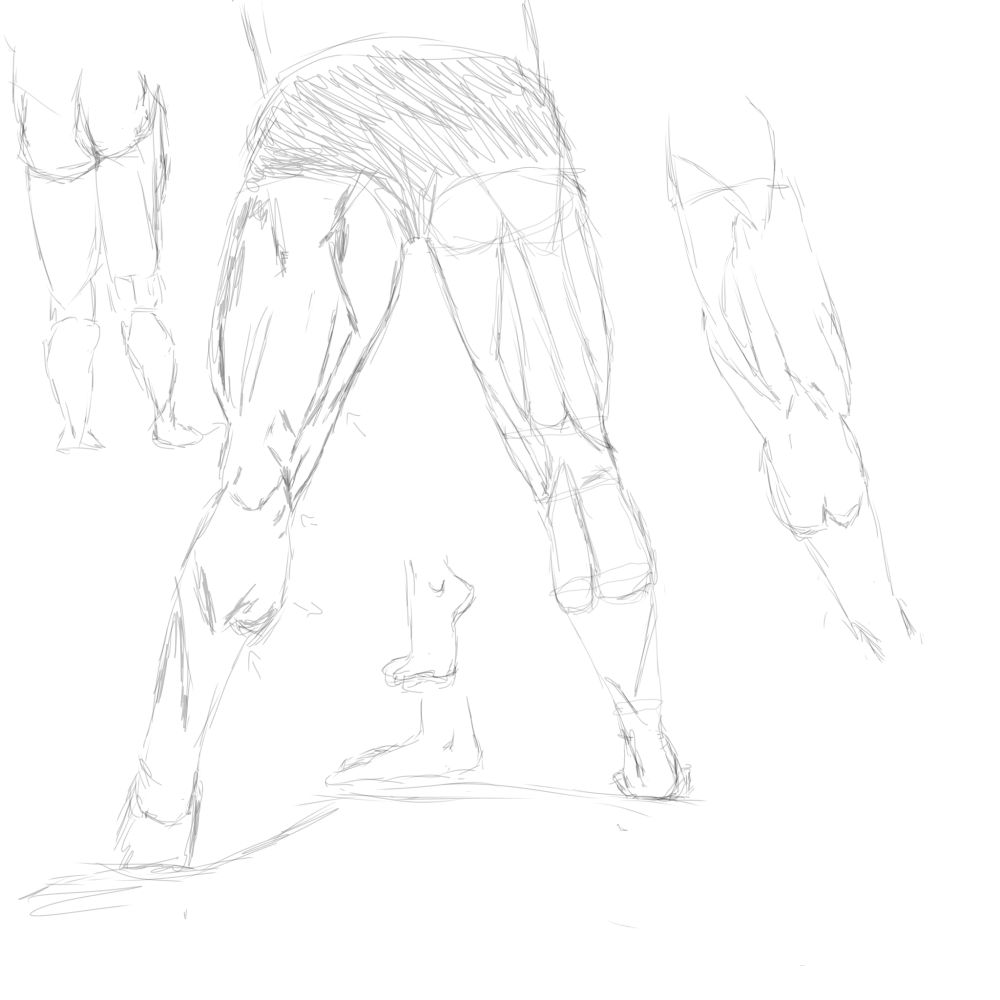 The lower backside of a very muscular and lean woman.