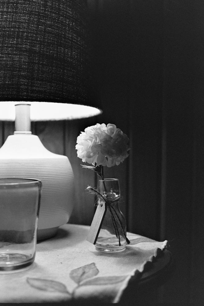 Close up black and white shot of a small flower in a vase on a night stand.