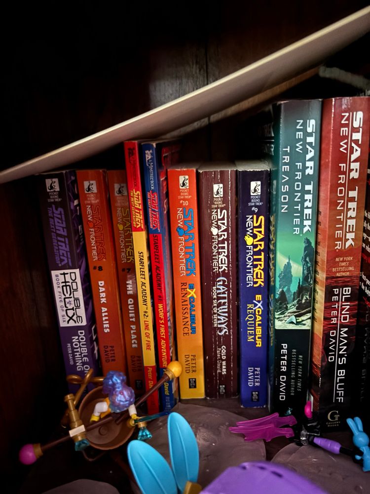 A bunch of books in the New Frontier series from Star Trek, by Peter David.