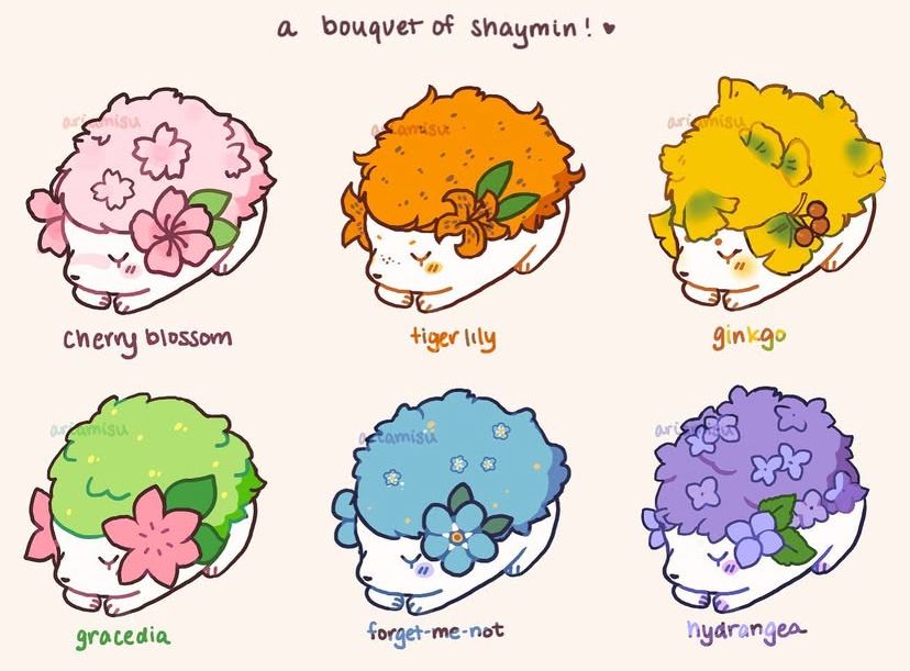 A bouquet of Shaymin 

6 Shaymins in different floral arrangements: cherry blossom, tiger lily, ginkgo, gracedia, forget-me-not, and hydrangea