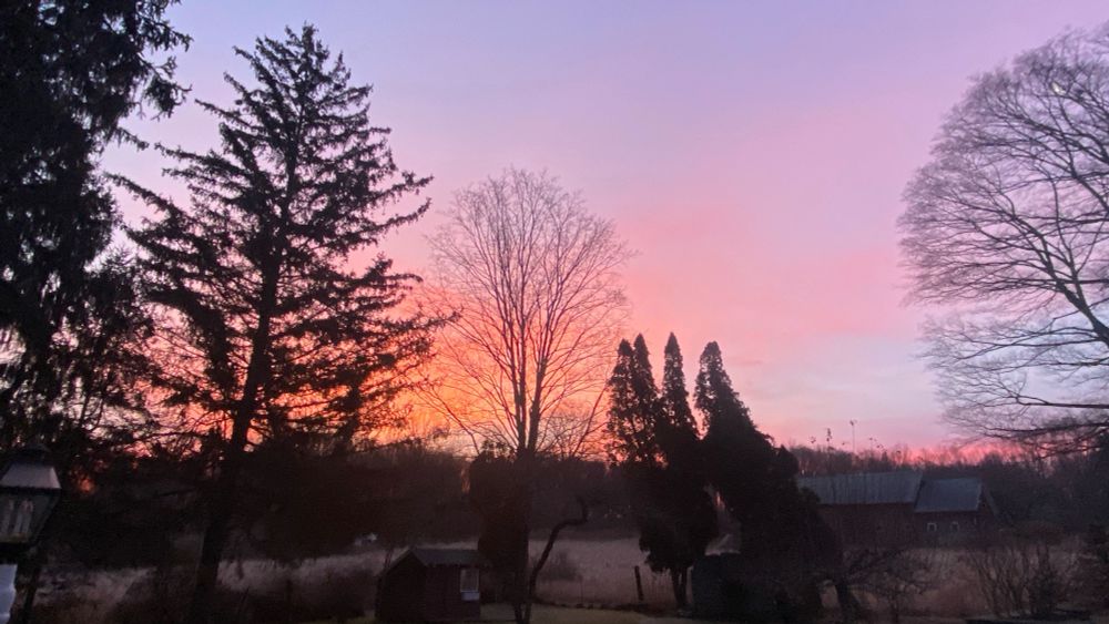 Rose colored early morning sky