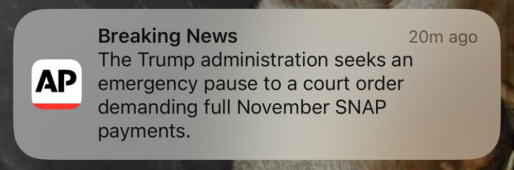 A screenshot of a breaking news alert from the Associated Press that says: 
The Trump administration seeks an emergency pause to a court order demanding full November SNAP payments.