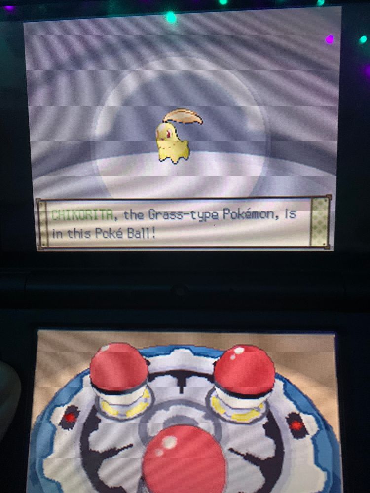 A photo of the starter pokemon selection screen from HeartGold (the Johto remakes). The top and bottom screen of the 3DS are visible in the photo. On the top screen is a Chikorita with its shiny colours, which make the body more yellow and turns the leaf into a light orange. On the bottom screen is the rotating pokeball stand which houses three pokeballs containing the three starter pokemon.