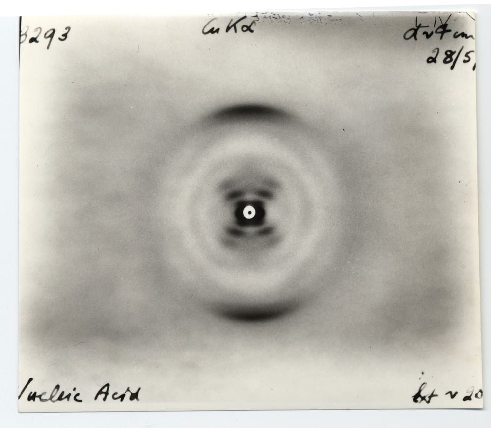 The 'other' Photo 51 - taken by Elwyn Beighton in William Astbury's laboratory at University of Leeds in 1951