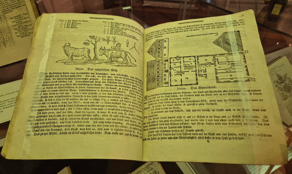 Ein aufgeschlagenes Buch zeigt auf der linken Seite für den Monat Mai einen Mann, der mit einem Messer in die Seite eines Rindes schneidet. Erläuterungen dazu sind betitelt mit "Das aufgeblähete Vieh." Auf der rechten Seite sind für den Monat Juni Skizzen und ein Grundriss eines Bauernhauses zu erkennen. Die Beschreibung ist betitelt mit "Das Bauernhaus."