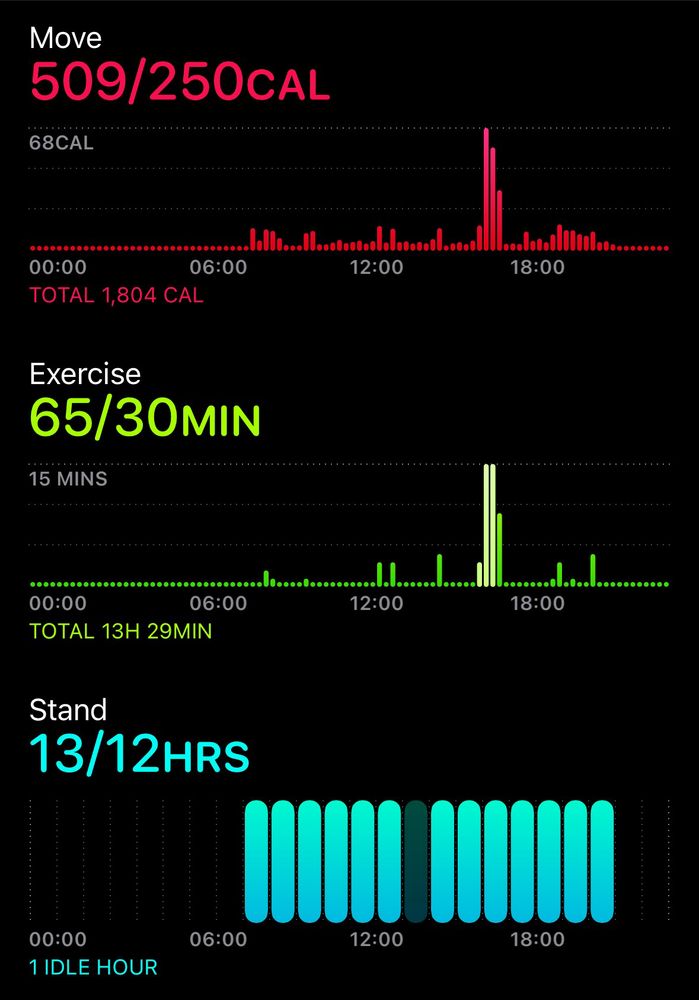 Activity ring stats after walking home from work and playing Ring Fit Adventure