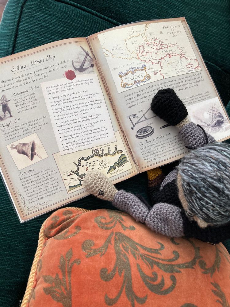 Izzy reads "Pirateology: Guide to Life on Board a Pirate Ship". It is open to the page about how to sail a ship.