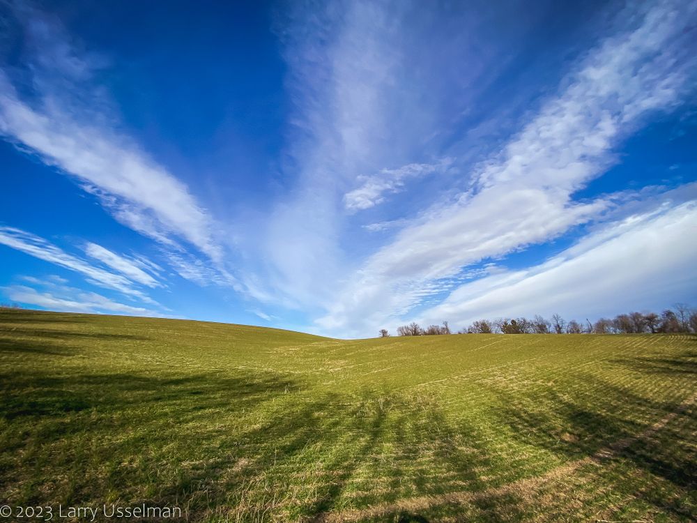 Green, fallow field with long shadows, a deep blue sky, and wispy, white cirrus clouds.