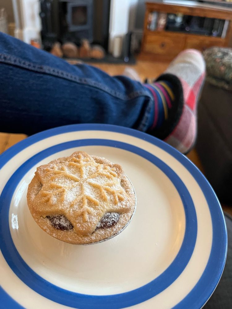 A mince pie on a plate.