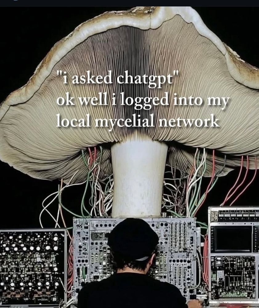 "i asked chatgpt" well i logged into my local mycelial network