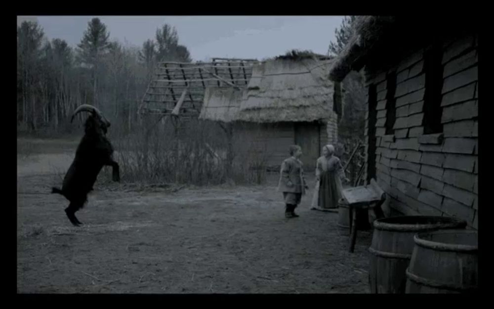 a goat is standing on its hind legs in front of a house