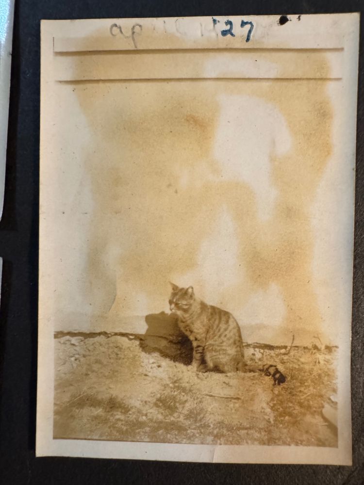 A sepia toned photograph of a tabby cat sitting outside on the ground in front of a wall. The date April 1927 is written at the top.