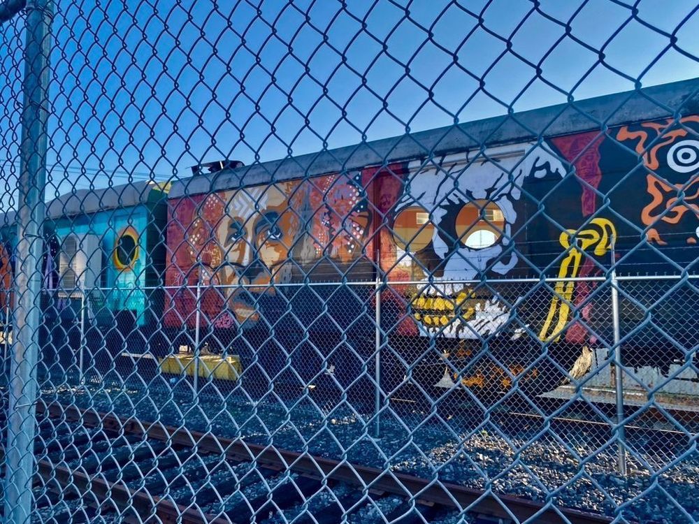painted train car in train car yard with mural of Albert Einstein  & a skeleton with round windows for eyes