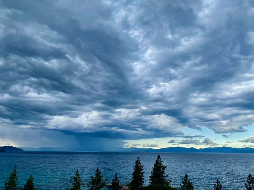 lightning storm raining down across Lake Tahoe, conifers in foreground I took this July 2025