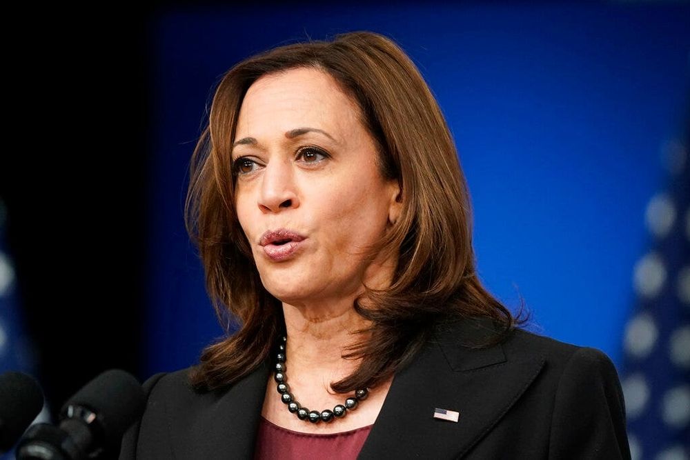 Vice President Kamala Harris visited the shop on her four-day diplomatic trip to Paris last week, reportedly dropping 516 euros on pots and pans at high-end cookware store E. Dehillerin.