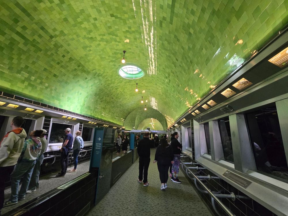 The green-tiled ceiling and stainless-steel tanks of the Detroit Belle Isle Aquarium