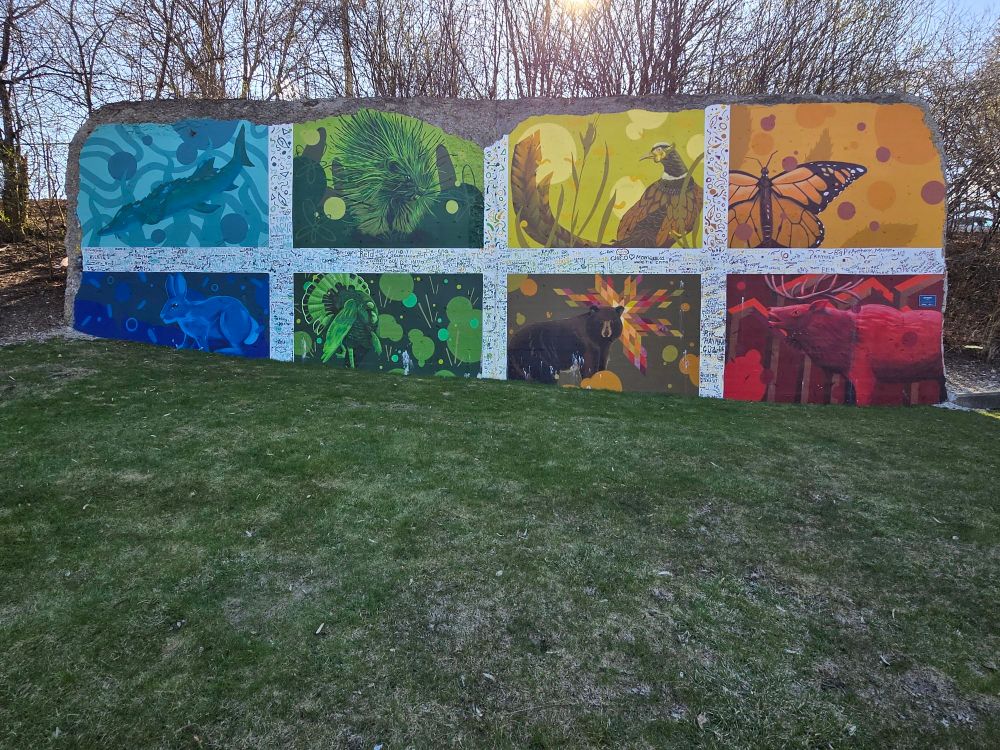 A multi-colored wall mural showing various native Michigan animals & insects