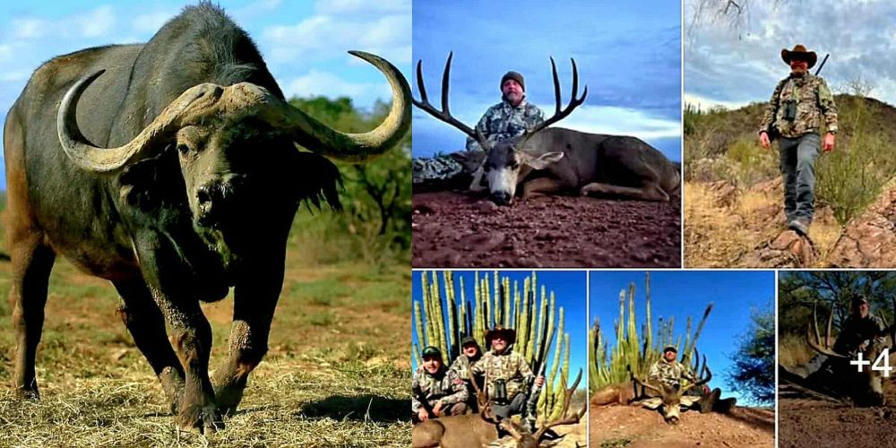 I Wonder if the Buffalo Took a Selfie With His Carcass?