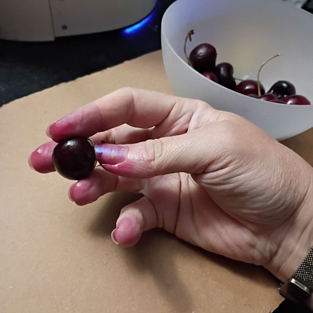 A hand with stained fingers and iridescent purple nail polish holding a ripe, dark cherry, next to a small white plastic bowl with a few more cherries in it