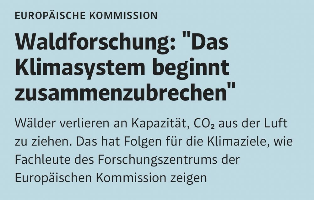 Waldforschung: "Das Klimasystem beginnt zusammenzubrechen"
Wälder verlieren an Kapazität, CO₂ aus der Luft zu ziehen. Das hat Folgen für die Klimaziele, wie Fachleute des Forschungszentrums der Europäischen Kommission zeigen