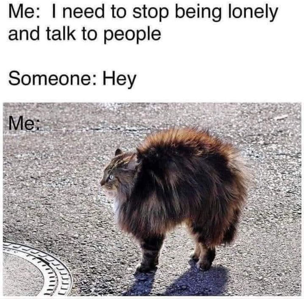 Me: I need to stop being lonely and talk to people
Someone: Hey
Me:
picture of a cat in their scared/defense stance 