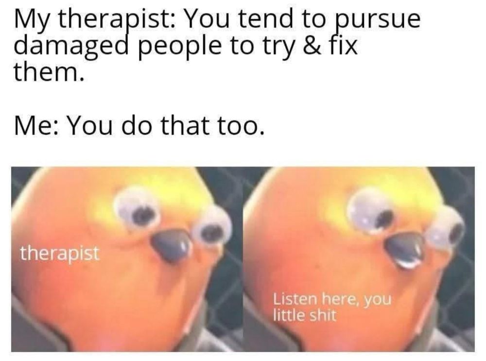 My therapist: you tend to pursue damaged people to try and fix them. 

Me: you do that too 

cartoon image with words: therapist, listen here you little shit 