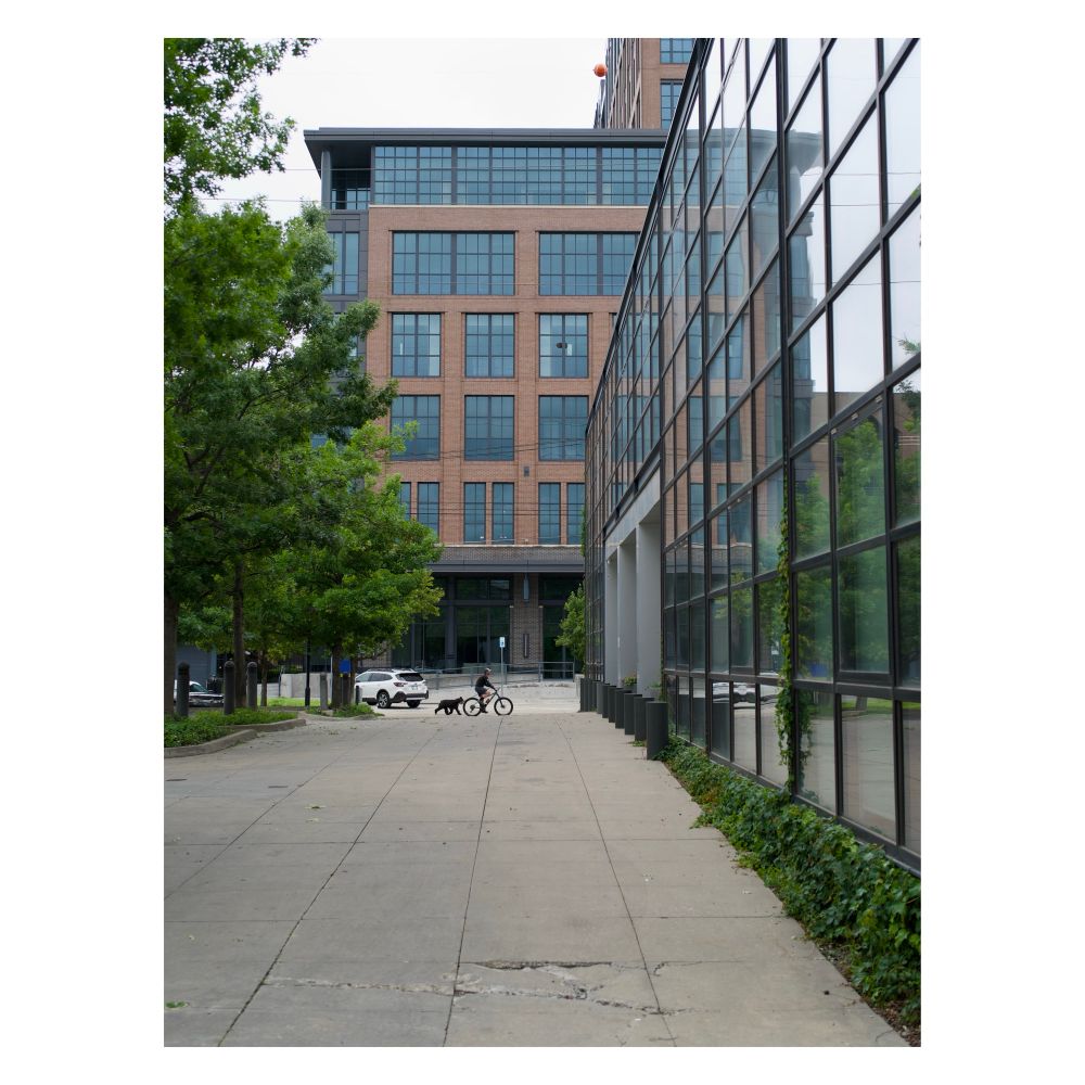 Photo of a building partly reflected in the windows of another building with a person riding their bike and walking a dog in front of the building