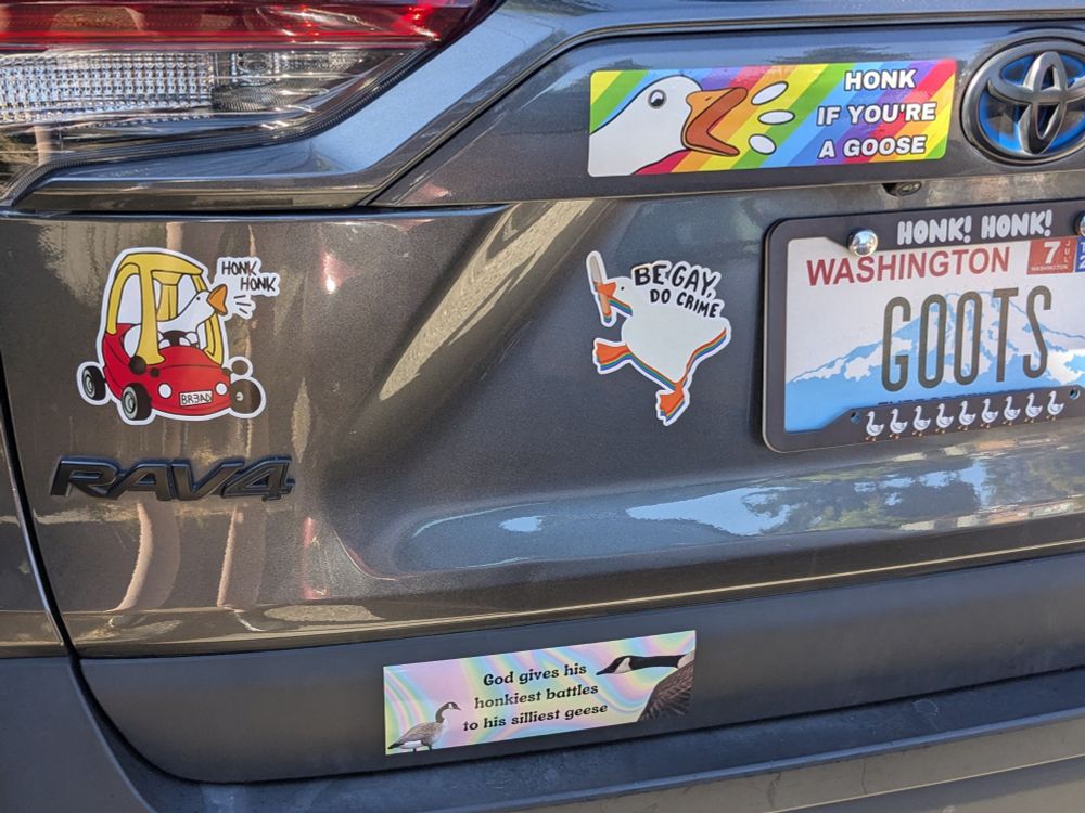 The left side of the back of the car with stickers that say "good gives his honkiest battles to his silliest geese" and "honk if you're a goose". The license plate says "GOOTS"