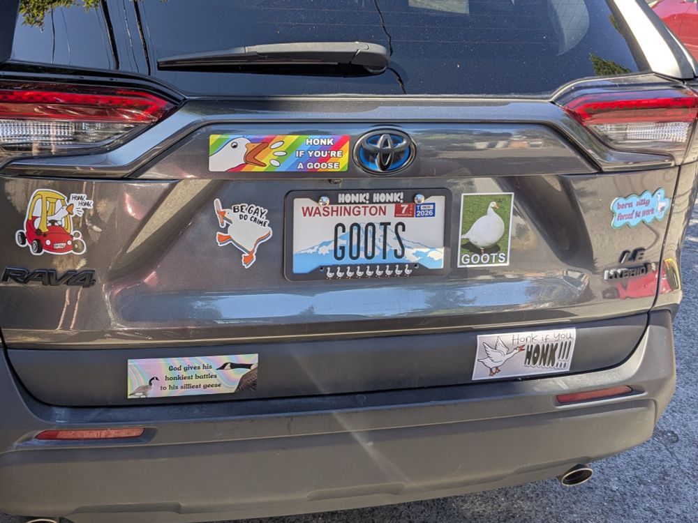 The back of a car with several goose-themed stickers on the back