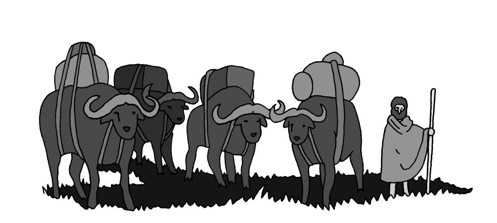 caravan