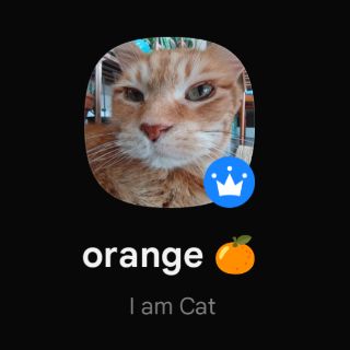 a profile picture of a fucked up scraggly orange cat giving side eye, with the name "orange, I am Cat"