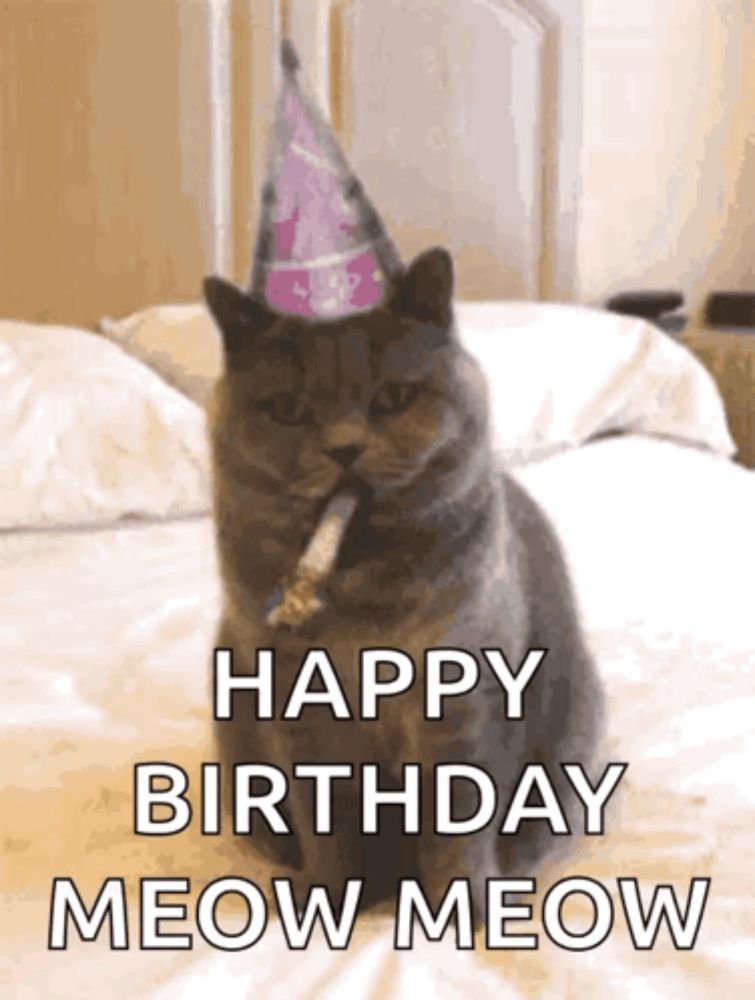 Birthday Happy GIF